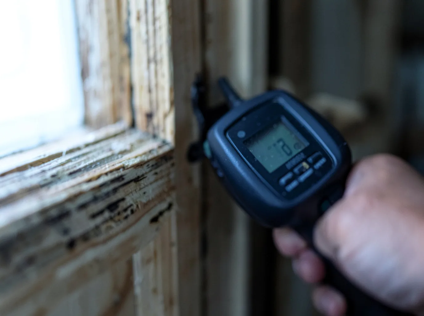 Moisture Inspection And Documentation in Lismore, MN